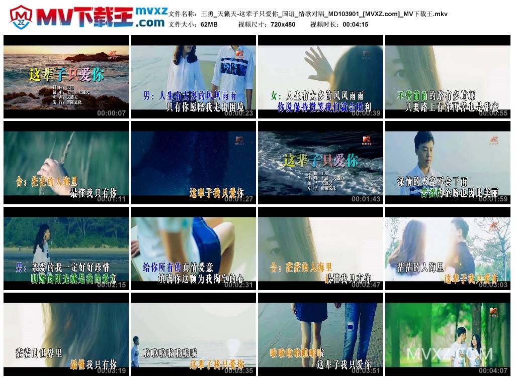 王勇_天籁天-这辈子只爱你_国语_情歌对唱_MD103901